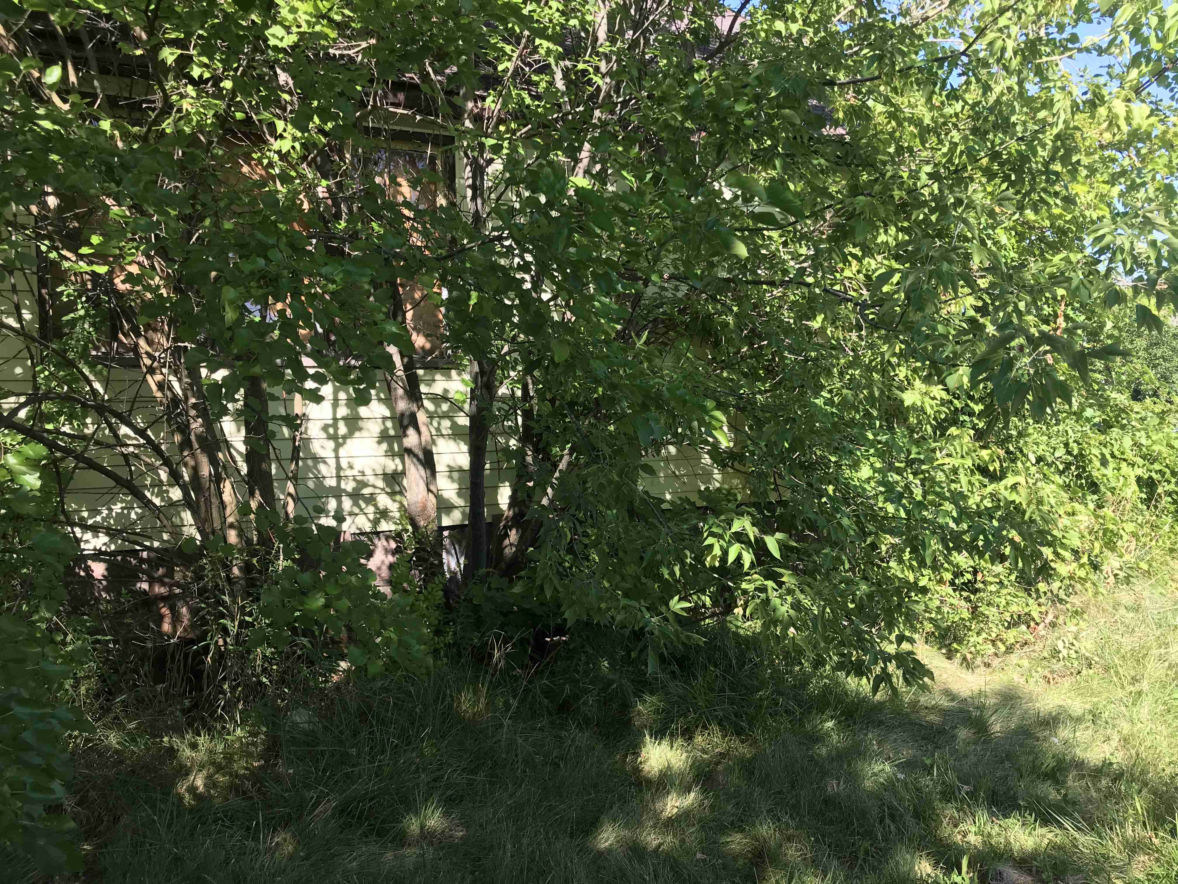 Photo Aug 20, 10 23 06 AM.jpg